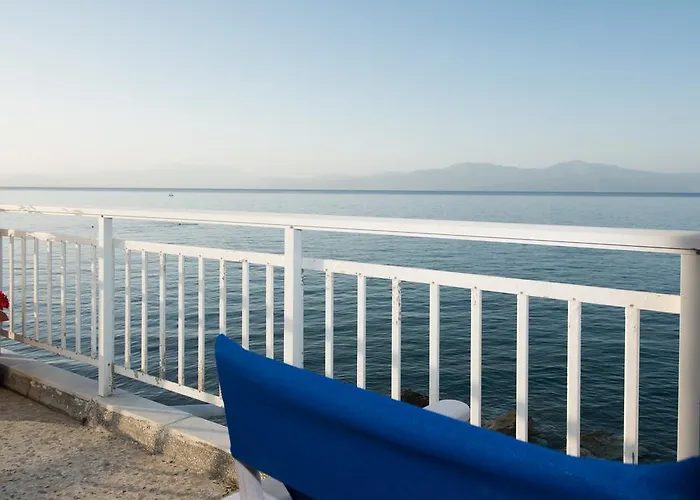 Spacious On The Beachfront Vakantiehuis *